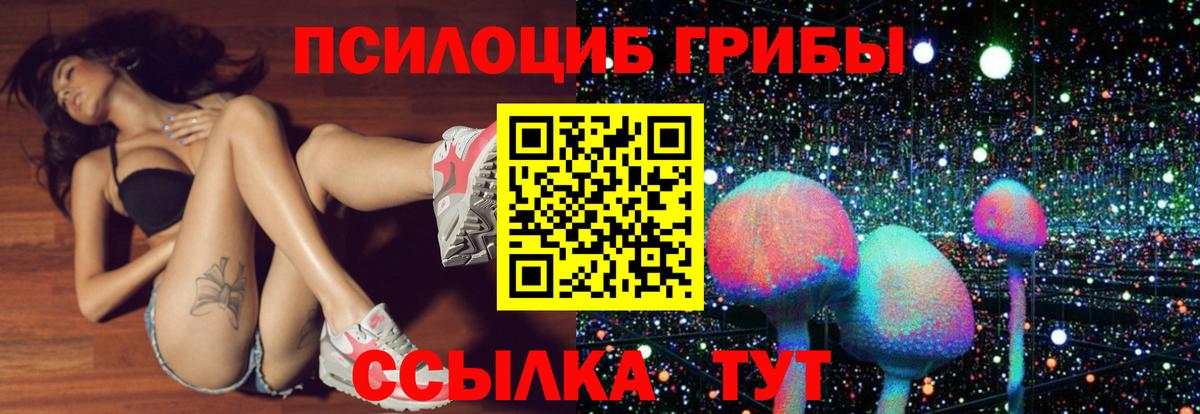 Псилоцибиновые грибы Cubensis  Вход с VPN  Туапсе 